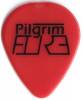 pilgrim_fire.jpg